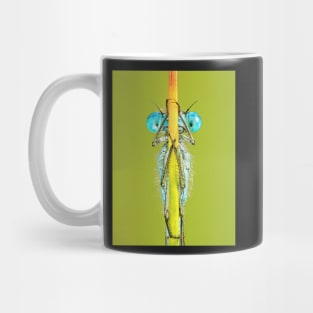 Common Blue Damselfly Close-up on Stalk Mug